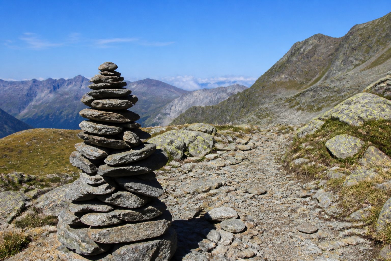 Trail ridge view